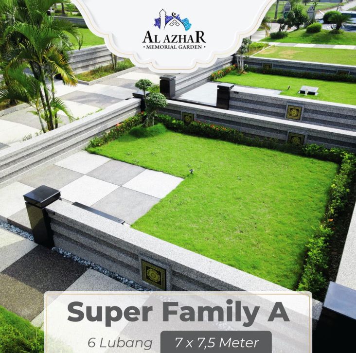 tipe super family A