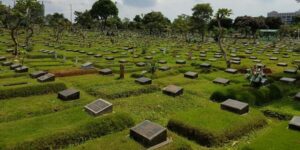 Mencabut Tanaman di Kuburan dalam Perspektif Islam